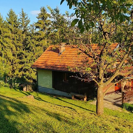Hiska Ob Gozdu Villa Polzela Luaran gambar